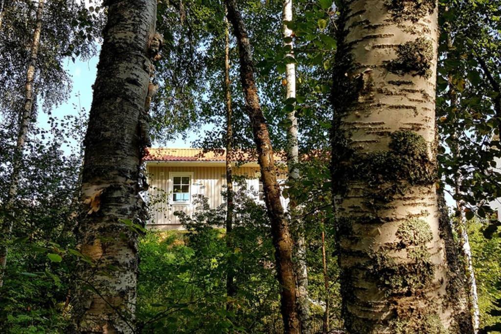 Nybyggd Stuga Intill Skogsbrynet - New Built Cottage Next To The Cowberry Forest Мура Екстер'єр фото